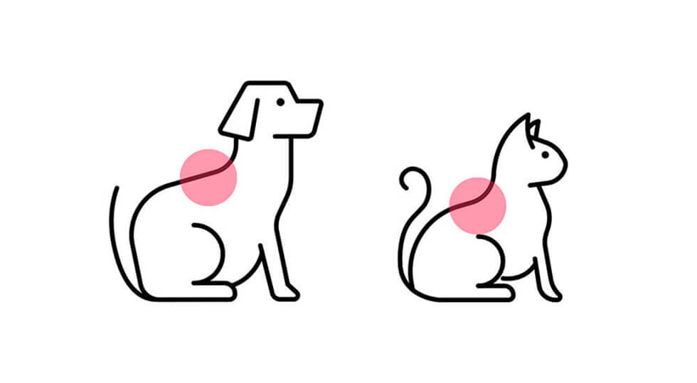 椎間板ヘルニア