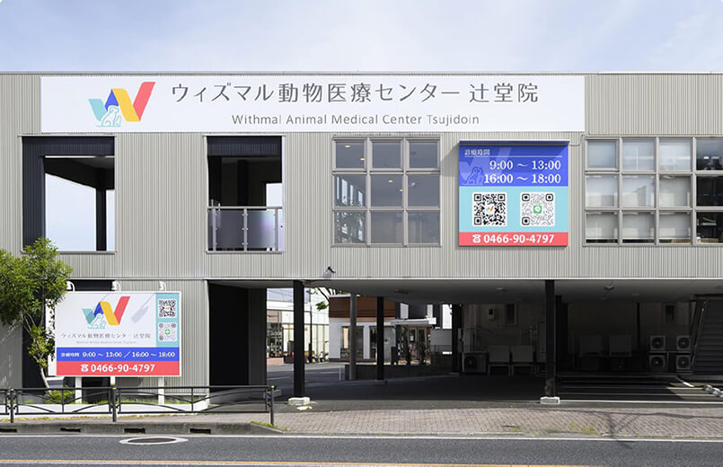 ウィズマル動物医療センター 辻堂院