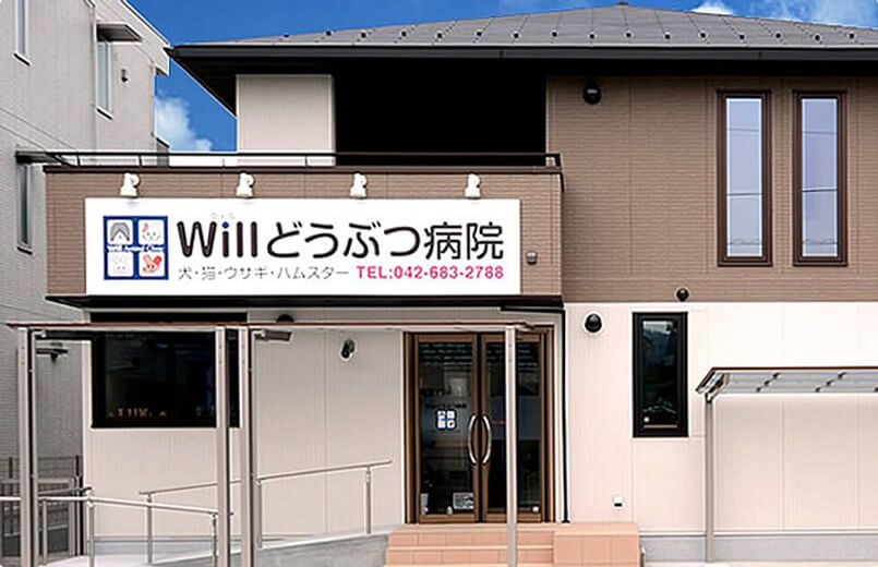 Willどうぶつ病院