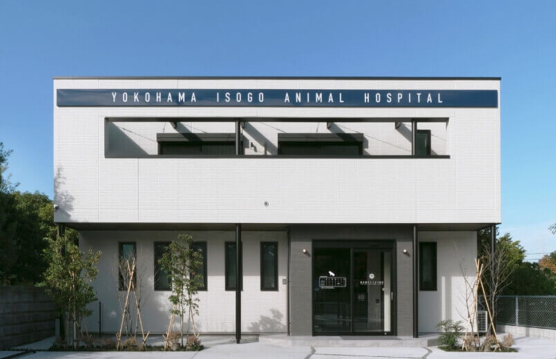 横浜磯子どうぶつ病院